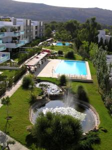 Pool and gardens