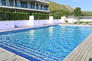 pool and garden