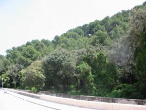 Can Panada View