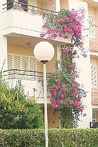 Cipreses Apartment