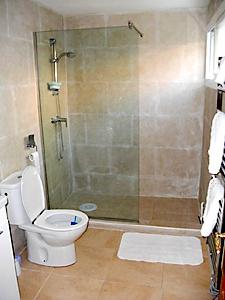 One of the Two Bathrooms