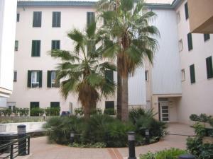 Courtyard Garden