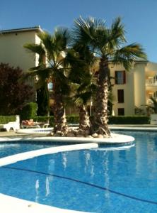 pool area