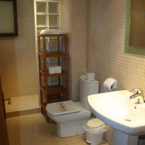 Wet Room Style Shower room
