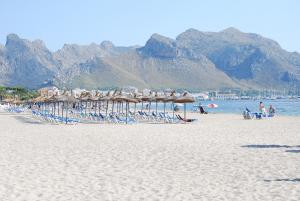 beach
