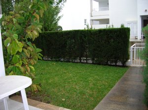 Garden area