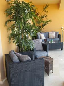 The Balcony Area