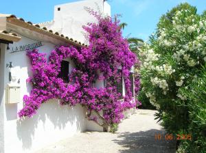 villa