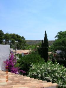 view from roof terrace