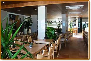 inside Tolos Restaurant, Puerto Pollensa Mallorca (Majorca)